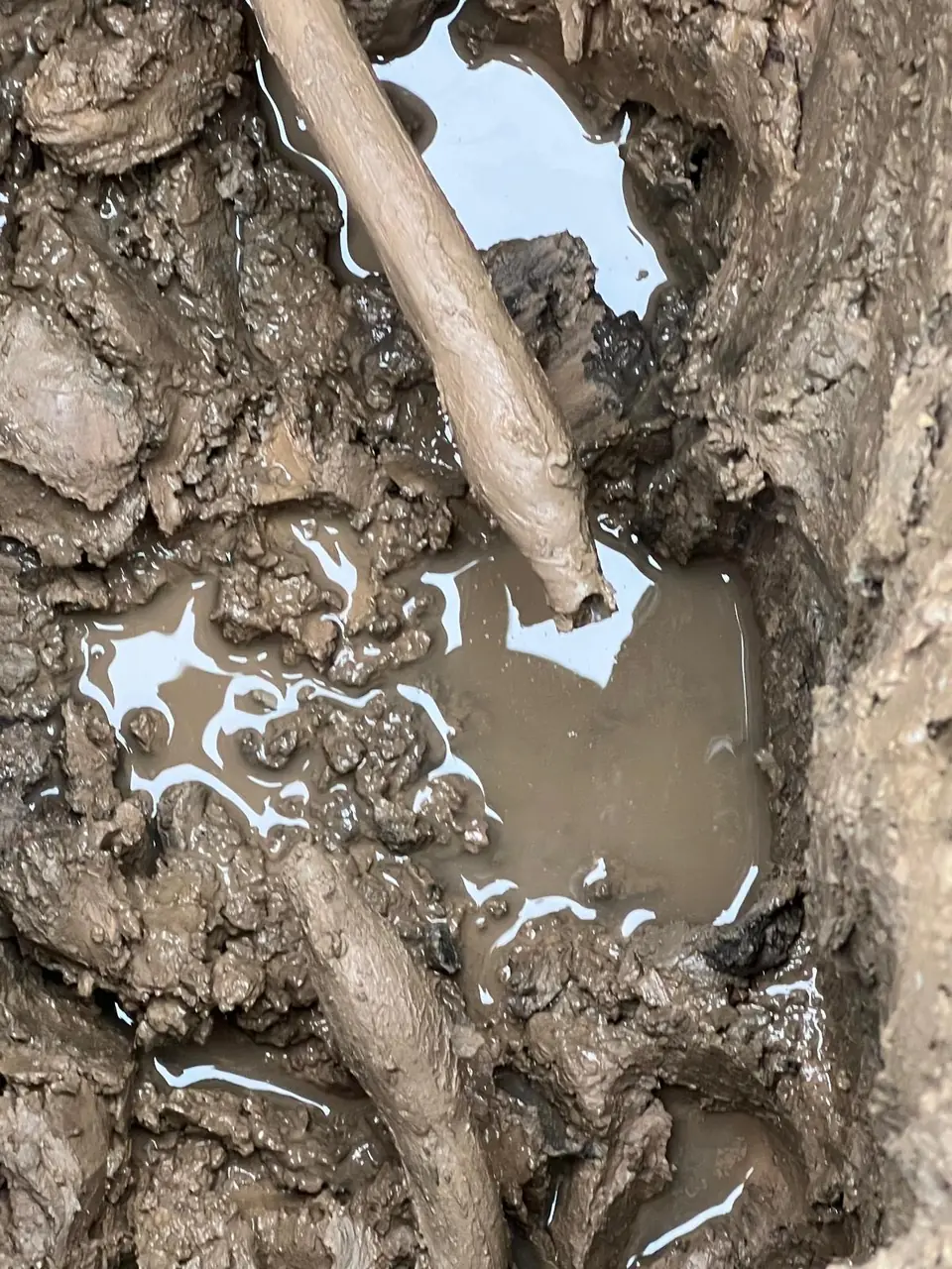 Buried pipework exposed during a water-leak investigation